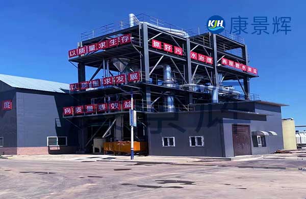 我需要采購(gòu)mvr蒸發(fā)器，能處理硫酸鈉和硫酸銨廢水，一天300噸，有哪些廠家可以推薦給我