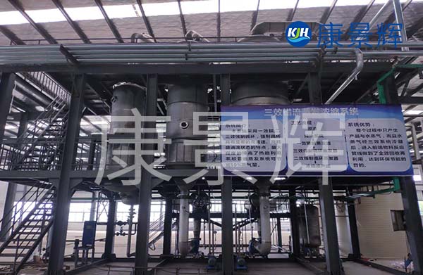 多效降膜蒸發(fā)器可以用來濃縮處理廢水，特別適合處理牛奶、淀粉、葡萄糖等食品廠廢水的加工處理中